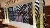 Picture of sai international
